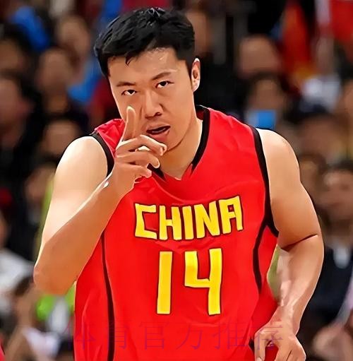 篮球 坚持的力量——王治郅 篮球 坚持的力量——王治郅